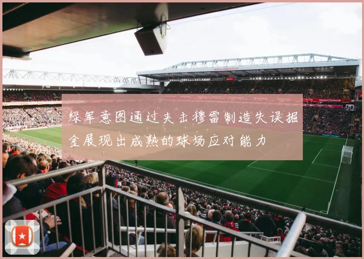 绿军意图通过夹击穆雷制造失误掘金展现出成熟的球场应对能力